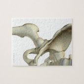 Puzzle Os de la hanche 5 (Horizontal)