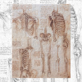 Puzzle Os de squelette de Léonard de Vinci, anatomie huma