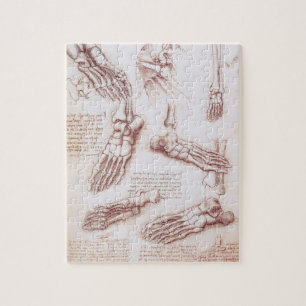 Puzzle Os des du pied dans l'anatomie humaine de Léonard 