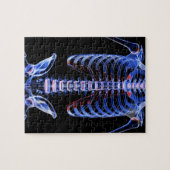 Puzzle Os du coffre 2 (Horizontal)