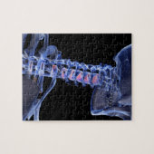 Puzzle Os du cou 3 (Horizontal)