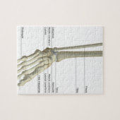 Puzzle Os du pied 6 (Horizontal)