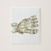 Puzzle Os du pied 8 (Vertical)