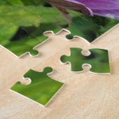 Puzzle Osteospermum (Côté)