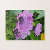 Puzzle Osteospermum (Horizontal)
