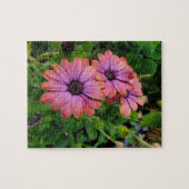 Puzzle Osteospurmum (Horizontal)