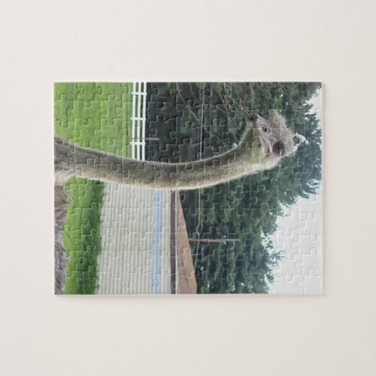 Puzzle Ostrich (Horizontal)