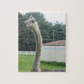 Puzzle Ostrich (Vertical)