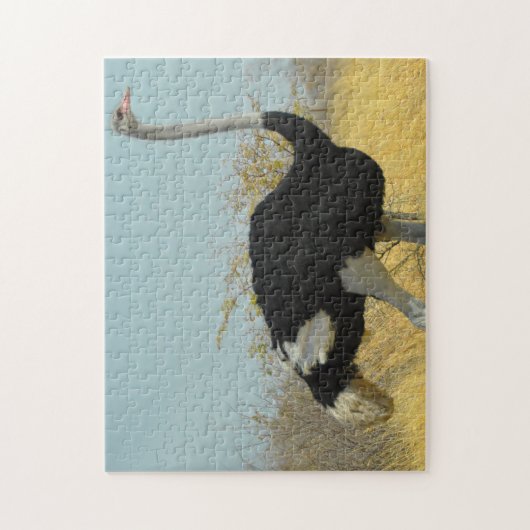 Puzzle Ostrige africaine (Vertical)