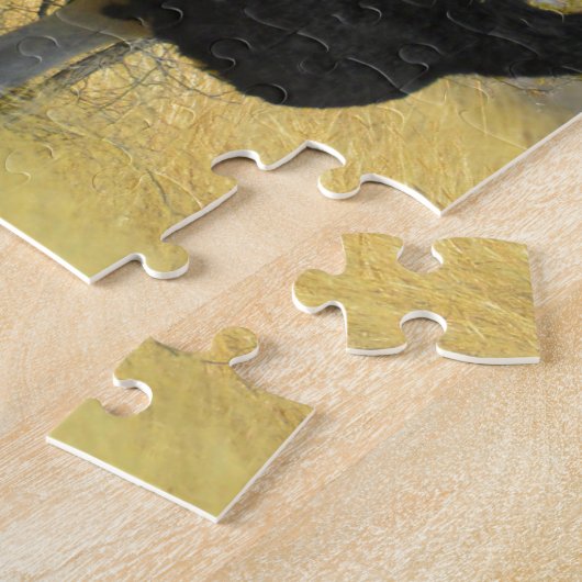 Puzzle Ostrige pour courir (Côté)