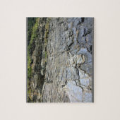 Puzzle Oswald West State Park, Oregon Coast (Vertical)