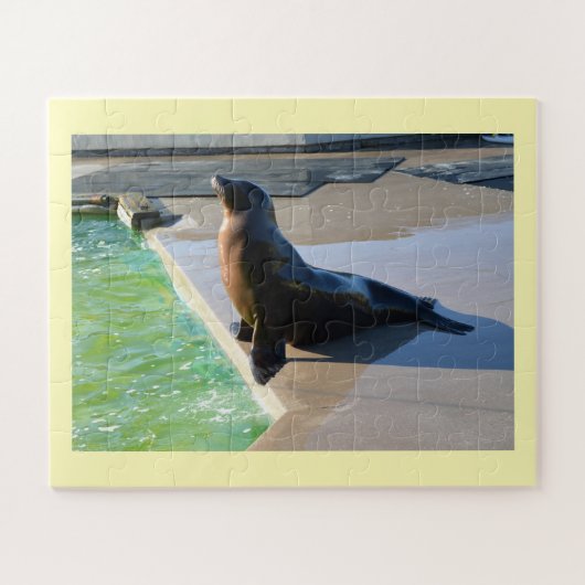 Puzzle Otarie californienne (Horizontal)