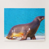 Puzzle Otaries (Horizontal)