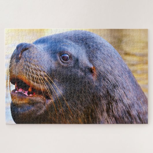 Puzzle Otaries (Horizontal)