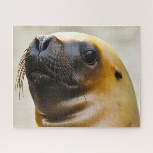 Puzzle Otaries (Horizontal)