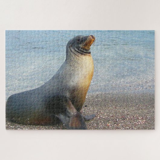 Puzzle Otaries (Horizontal)