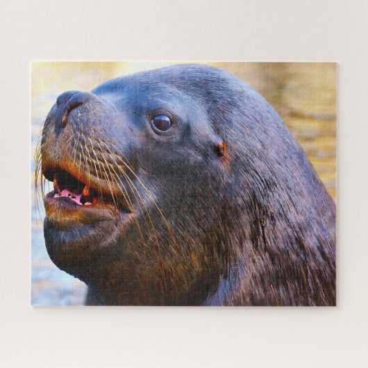 Puzzle Otaries (Horizontal)