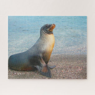 Puzzle Otaries de nos mers
