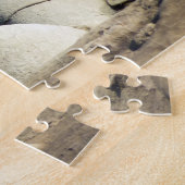 Puzzle Otaries de San Diego (Côté)