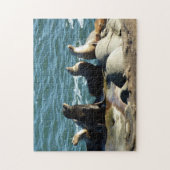 Puzzle Otaries de San Diego (Vertical)