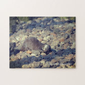 Puzzle Otter Short Clawed au zoo de Drusillas dans l'est  (Horizontal)