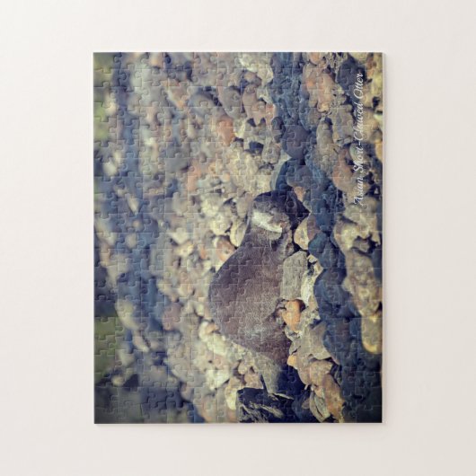 Puzzle Otter Short Clawed au zoo de Drusillas dans l'est (Vertical)