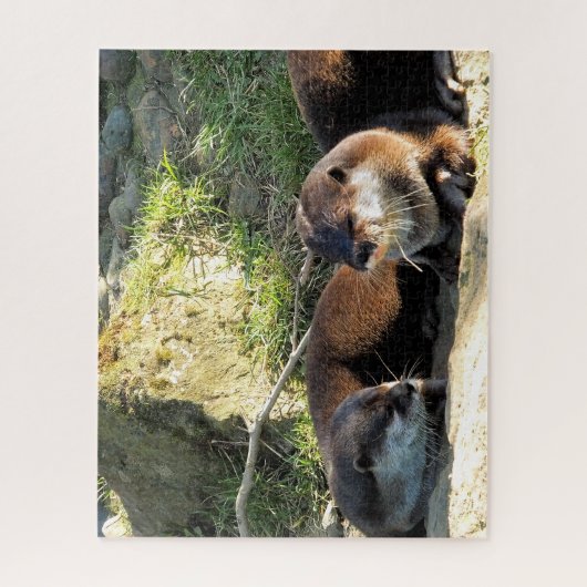 PUZZLE OTTERS (Vertical)