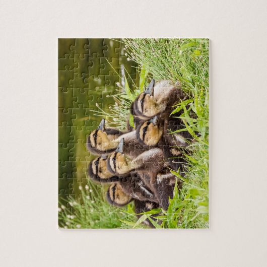 Puzzle Où est maman ? (Vertical)