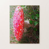 Puzzle Où Leprechauns ou où vivent les petits. (Vertical)