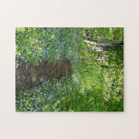 Puzzle Oubliez-moi la voie d'accès des noeuds (Horizontal)