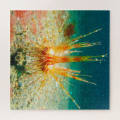 Puzzle Ourchine (Horizontal)