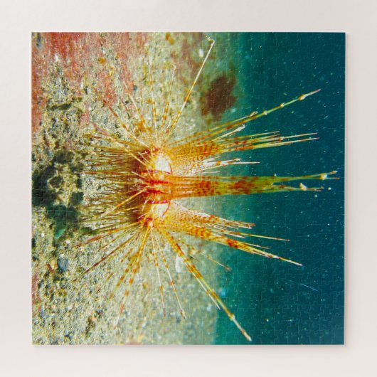 Puzzle Ourchine (Horizontal)