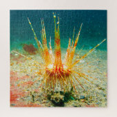 Puzzle Ourchine (Vertical)