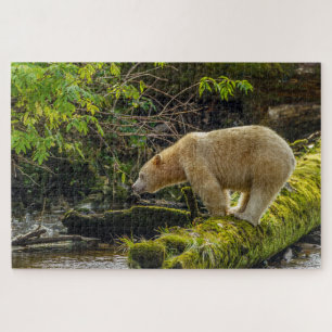 Puzzle Ours blanc