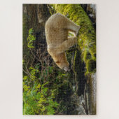 Puzzle Ours blanc (Vertical)