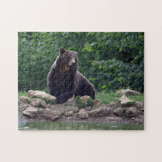Puzzle Ours Brown (Horizontal)