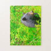 Puzzle Ours Brown canadiens. (Vertical)