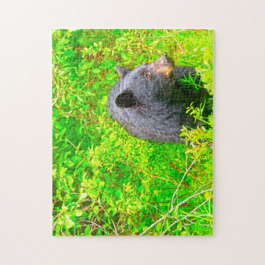 Puzzle Ours Brown canadiens. (Vertical)