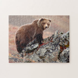 Puzzle Ours Brown de Denali