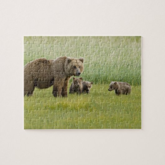 Puzzle Ours Brown de l'Alaska et trois Cubs, Ursus (Horizontal)