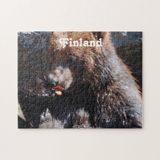 Puzzle Ours Brown en Finlande (Horizontal)