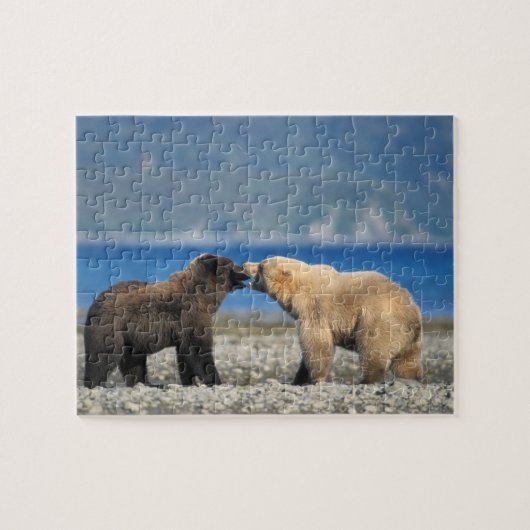 Puzzle ours Brown, grizzli, jouer sur la plage, (Horizontal)