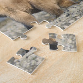 Puzzle ours Brown, grizzli, jouer sur la plage, (Côté)