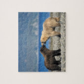 Puzzle ours Brown, grizzli, jouer sur la plage, (Vertical)
