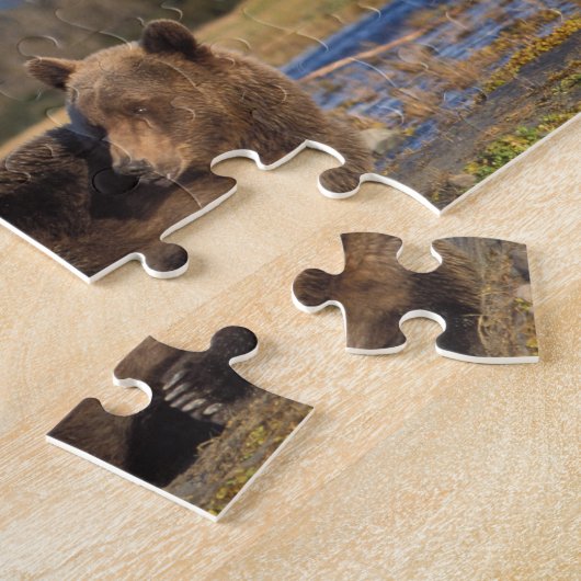 Puzzle ours Brown, grizzli s'étirant sur le dos (Côté)