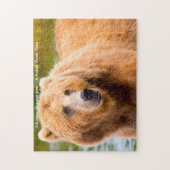 Puzzle Ours Brown Kodiak. voeux de Noël (Vertical)