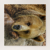 Puzzle Ours Brown sauvage (Horizontal)