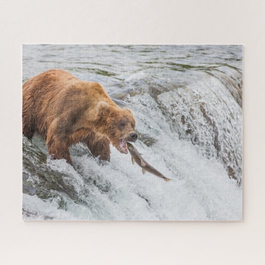 Puzzle Ours brun attrape un saumon rouge (Horizontal)
