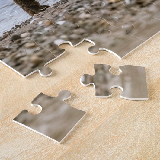 Puzzle Ours brun côtier (Côté)