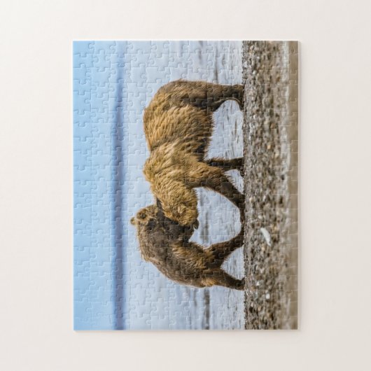 Puzzle Ours brun côtier (Vertical)